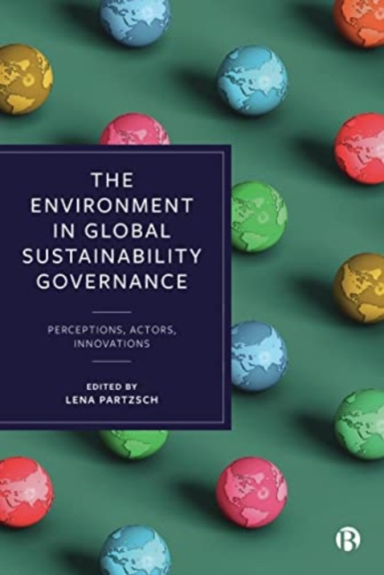 The Environment in Global Sustainability Governance : Perceptions, Actors, Innovations, Paperback / softback Book
