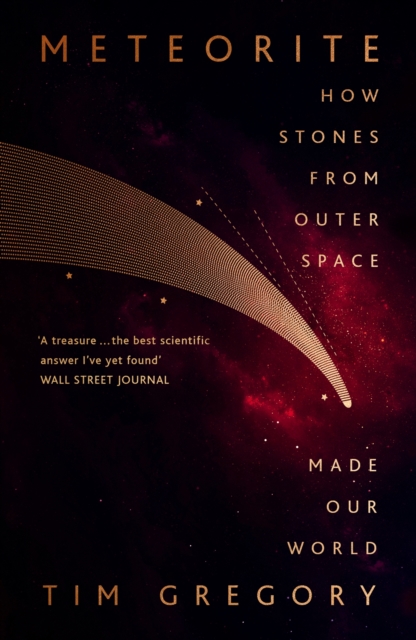 Meteorite : The Stones From Outer Space That Made Our World, EPUB eBook