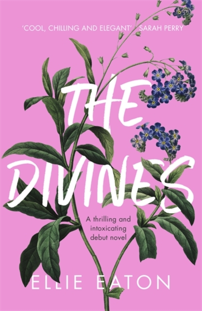 The Divines : A razor-sharp, perfectly twisted debut, Hardback Book