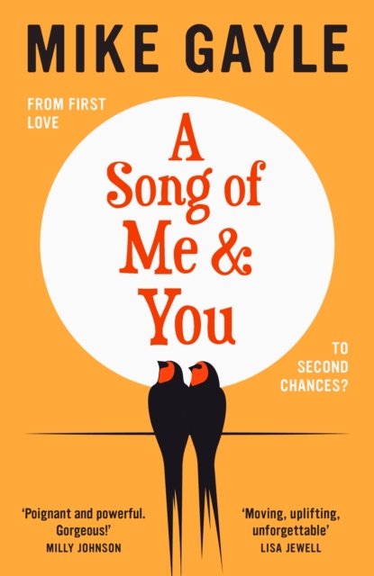 A Song of Me and You : everyone knows this rock star's name: only his first love understands his heart, Hardback Book
