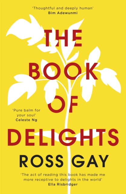The Book of Delights : The life-affirming New York Times bestseller, Paperback / softback Book