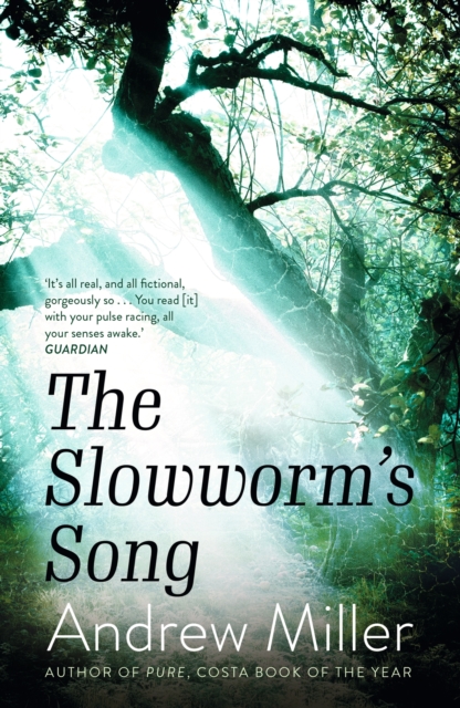 The Slowworm's Song, Paperback / softback Book
