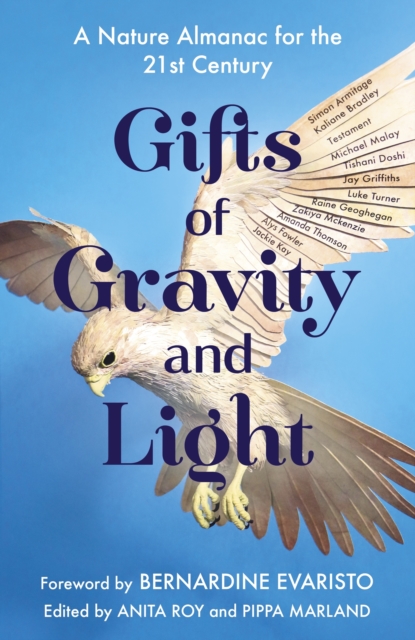 Gifts of Gravity and Light, EPUB eBook