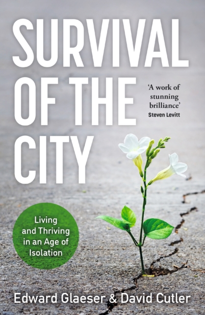 Survival of the City : Living and Thriving in an Age of Isolation, Paperback / softback Book