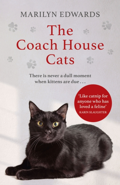 The Coach House Cats, EPUB eBook