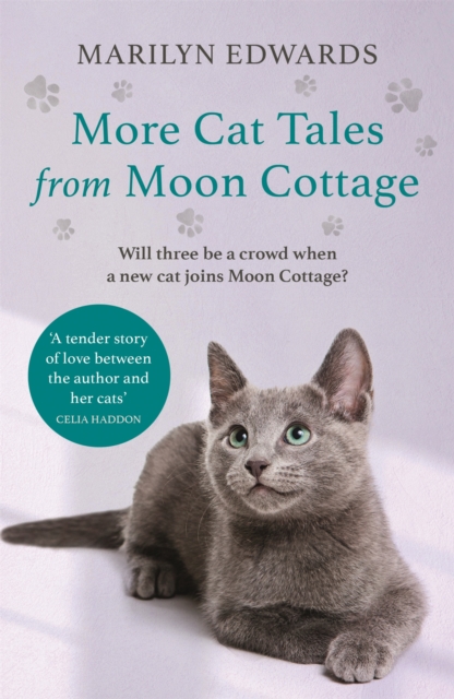 More Cat Tales From Moon Cottage, Paperback / softback Book