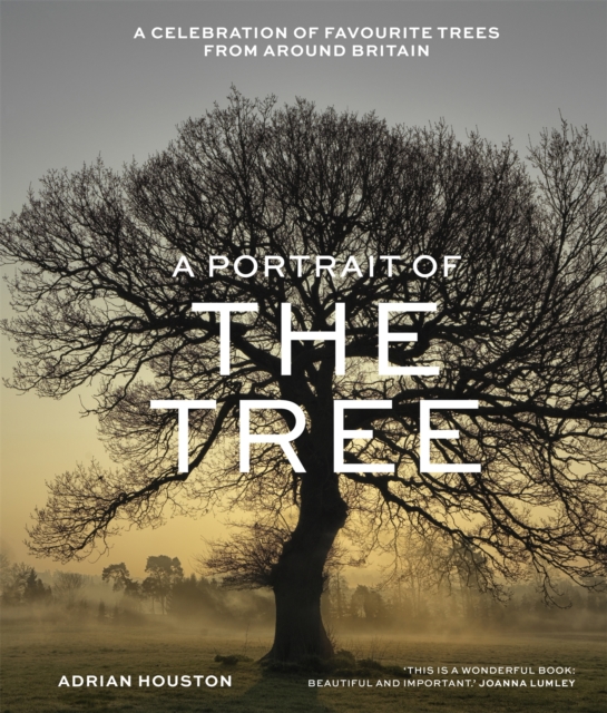 A Portrait of the Tree : A celebration of favourite trees from around Britain, Hardback Book