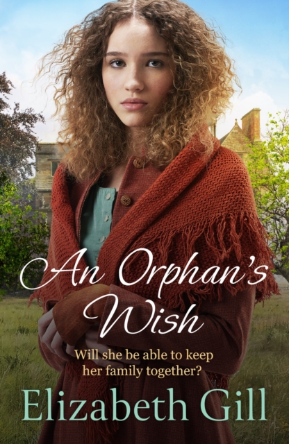 An Orphan's Wish : a moving and uplifting story of one family's efforts to come together in the face of adversity, EPUB eBook