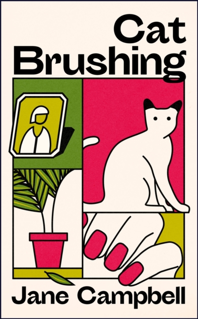 Cat Brushing : a dazzling short story collection about thirteen older women, EPUB eBook