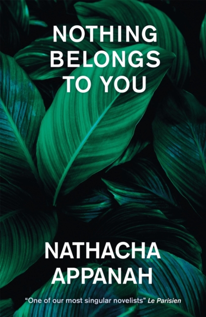 Nothing Belongs to You, Paperback / softback Book