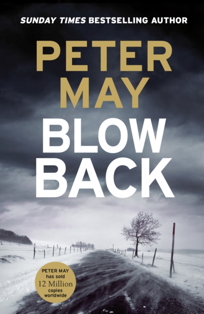 Blowback : The exciting penultimate case in the addictive crime series (The Enzo Files Book 5), Paperback / softback Book