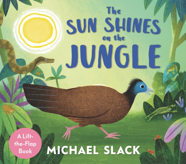 The Sun Shines on the Jungle, Board book Book