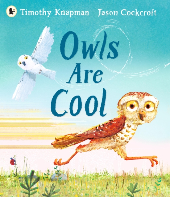 Owls Are Cool, Paperback / softback Book