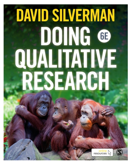 Doing Qualitative Research, PDF eBook