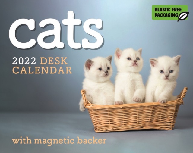 Cats Mini Box Calendar 2022, Calendar Book