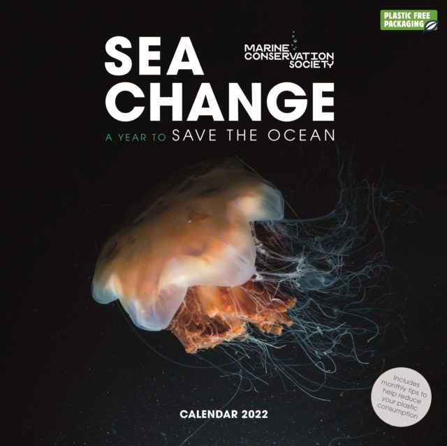 Sea Change, Marine Conservation Society Square Wall Calendar 2022, Calendar Book