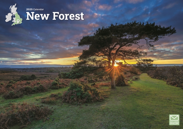 New Forest A4 Calendar 2025, Paperback Book