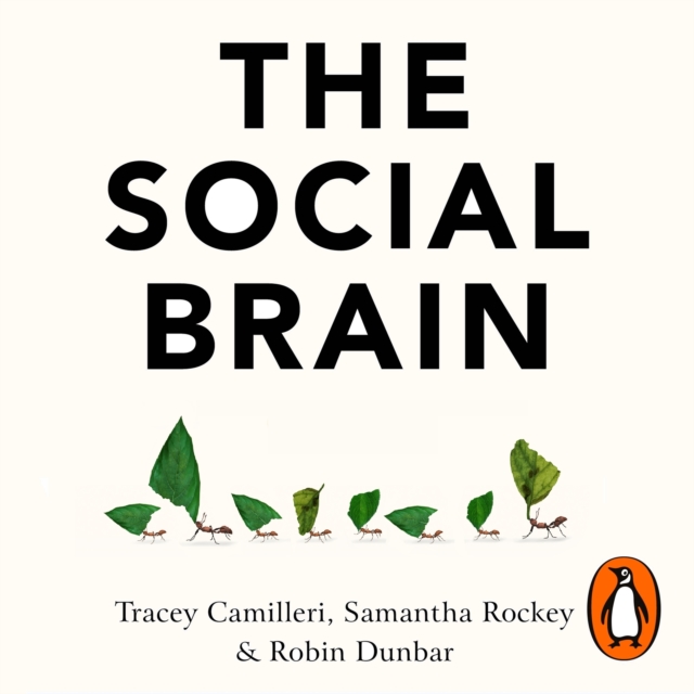 The Social Brain : The Psychology of Successful Groups, eAudiobook MP3 eaudioBook