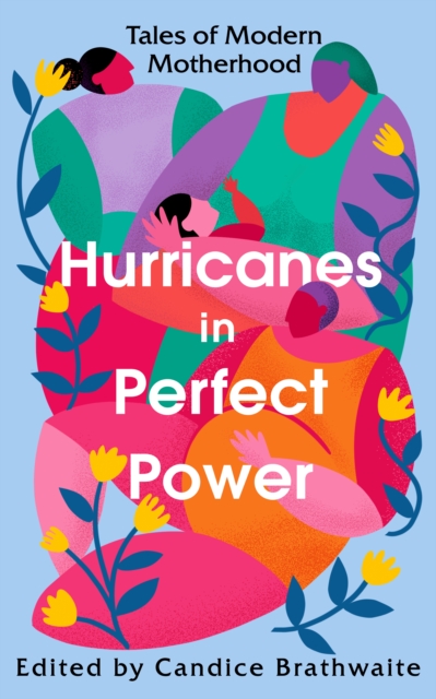 Hurricanes in Perfect Power : Tales of Modern Motherhood, EPUB eBook