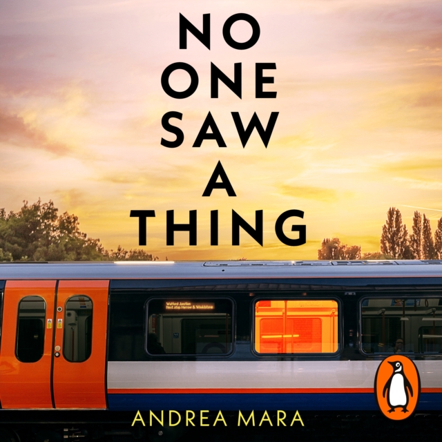 No One Saw a Thing, eAudiobook MP3 eaudioBook