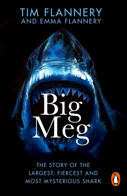 Big Meg : The Story of the Largest, Fiercest and Most Mysterious Shark, EPUB eBook