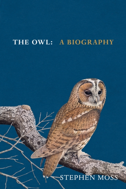The Owl : A Biography, Hardback Book