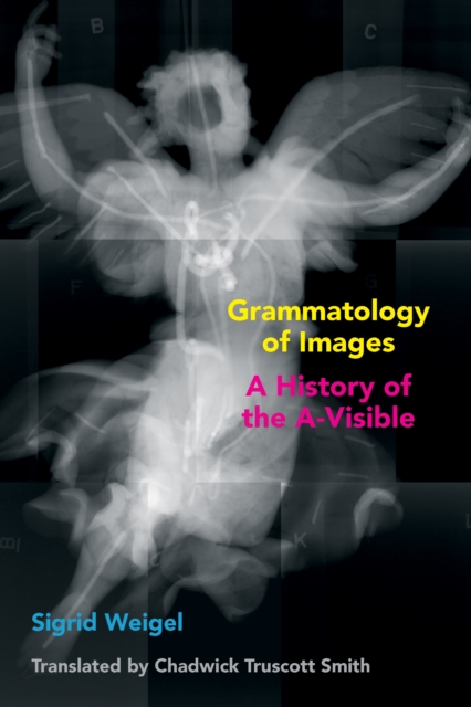 Grammatology of Images : A History of the A-Visible, EPUB eBook