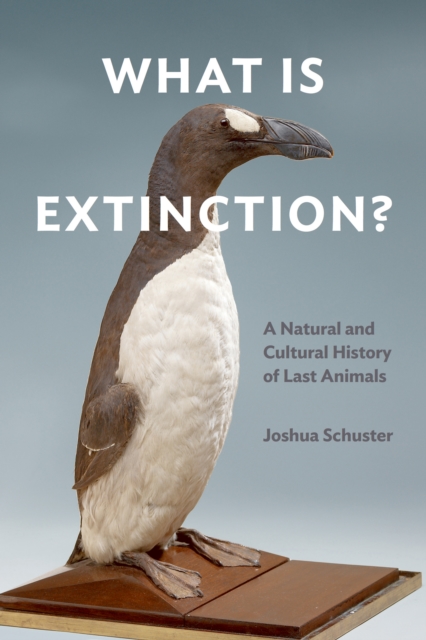 What Is Extinction? : A Natural and Cultural History of Last Animals, PDF eBook