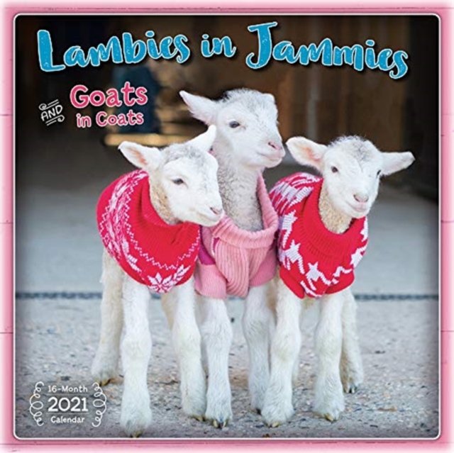 LAMBIES IN JAMMIES GOATS IN COATS 2021 C, Paperback Book