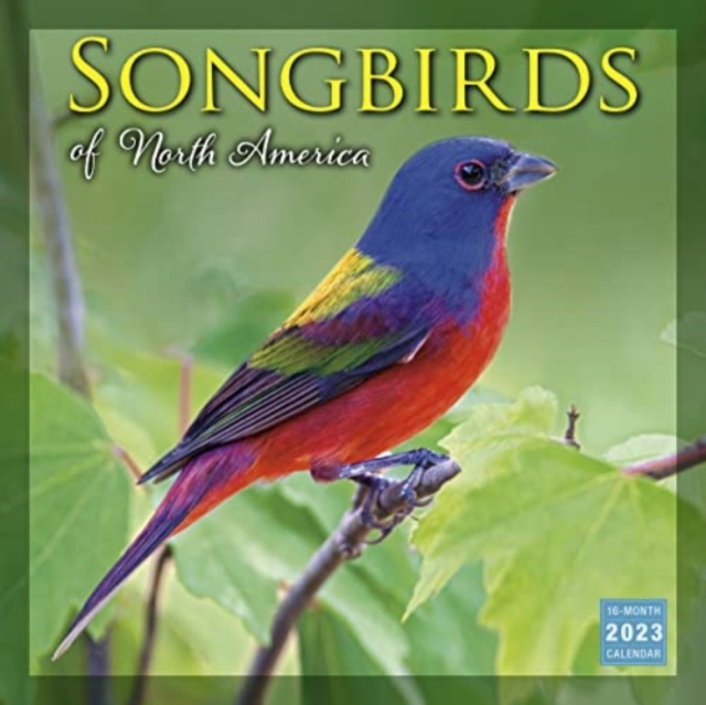 SONGBIRDS OF NORTH AMERICA, Paperback Book