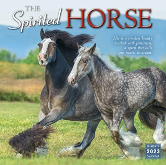 SPIRITED HORSE THE, Paperback Book