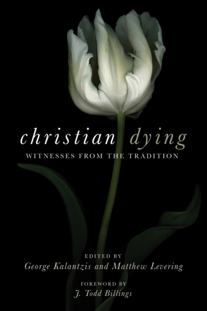 Christian Dying : Witnesses from the Tradition, EPUB eBook