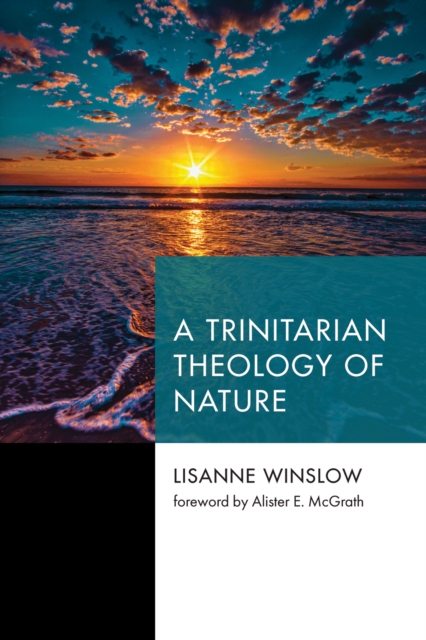 A Trinitarian Theology of Nature, EPUB eBook