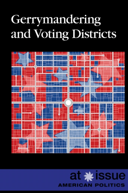 Gerrymandering and Voting Districts, PDF eBook