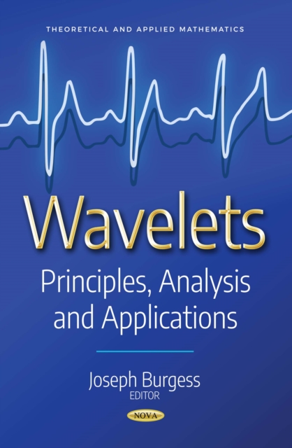 Wavelets: Principles, Analysis and Applications, PDF eBook