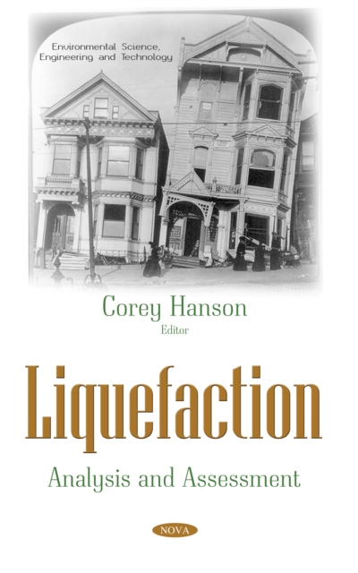 Liquefaction: Analysis and Assessment, PDF eBook