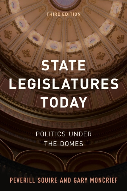 State Legislatures Today : Politics under the Domes, EPUB eBook