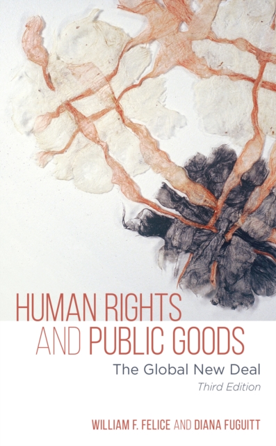 Human Rights and Public Goods : The Global New Deal, Paperback / softback Book
