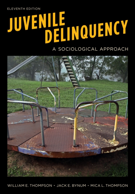 Juvenile Delinquency : A Sociological Approach, Paperback / softback Book