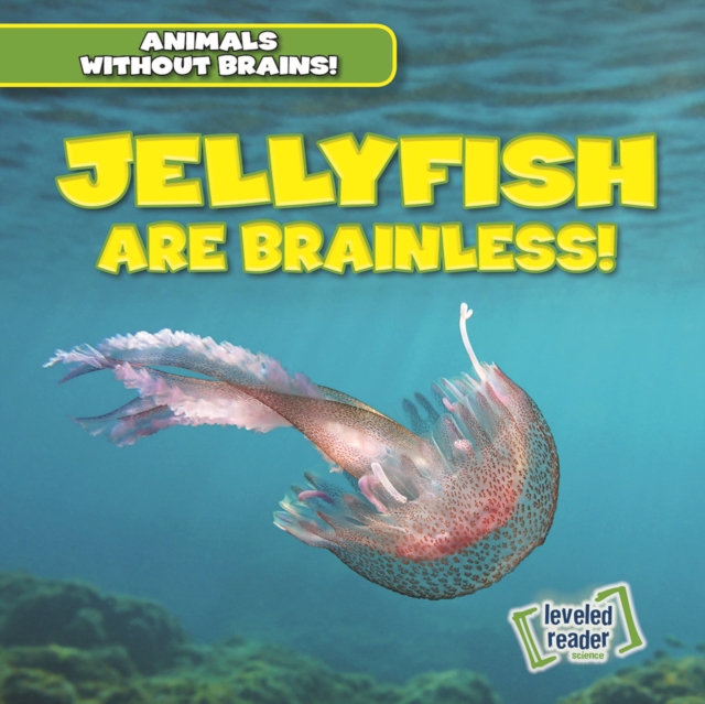 Jellyfish Are Brainless!, PDF eBook