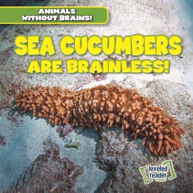 Sea Cucumbers Are Brainless!, PDF eBook
