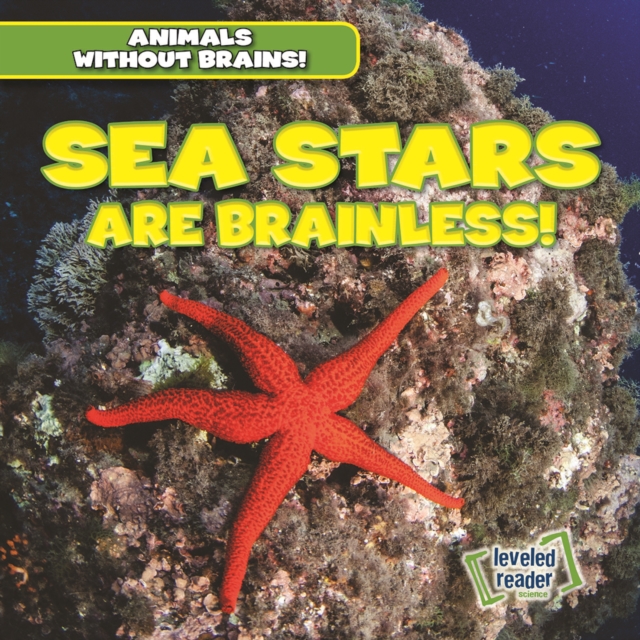 Sea Stars Are Brainless!, PDF eBook