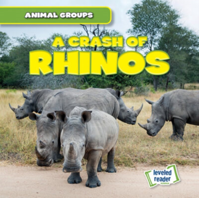 A Crash of Rhinos, PDF eBook