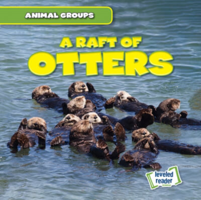 A Raft of Otters, PDF eBook
