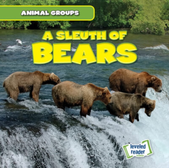 A Sleuth of Bears, PDF eBook