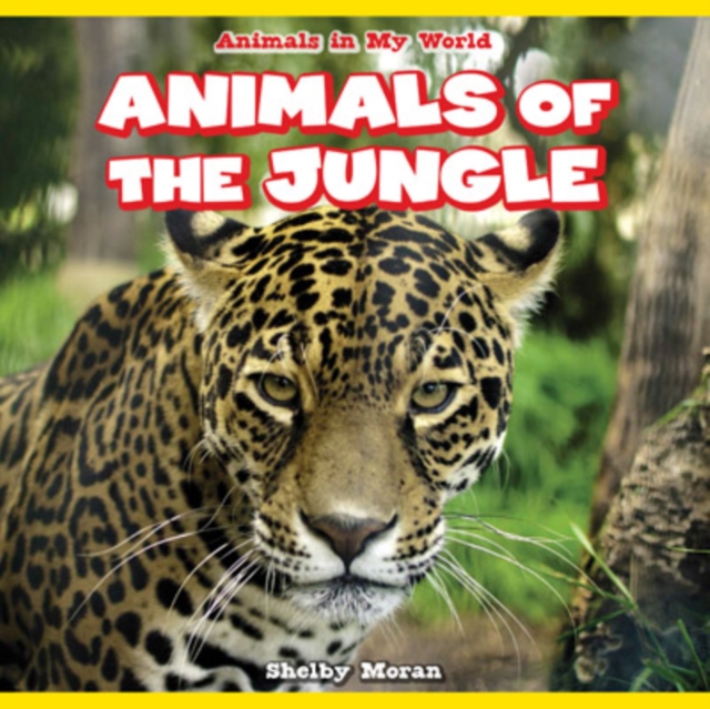 Animals of the Jungle, PDF eBook