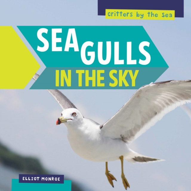 Sea Gulls in the Sky, PDF eBook