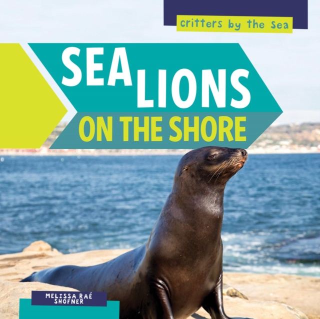 Sea Lions on the Shore, PDF eBook