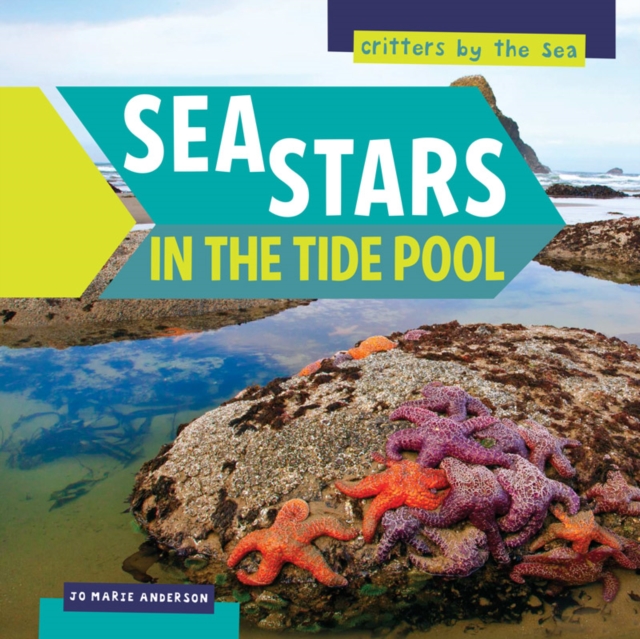Sea Stars in the Tide Pool, PDF eBook