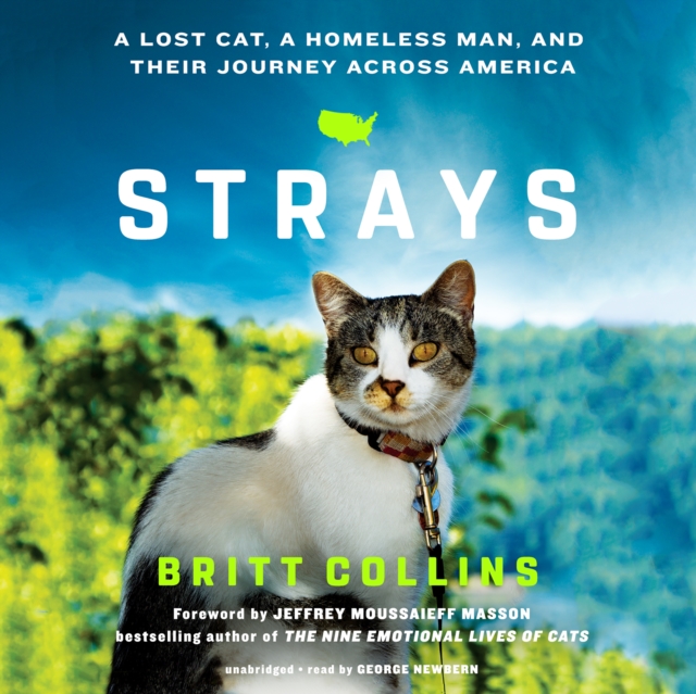 Strays, eAudiobook MP3 eaudioBook